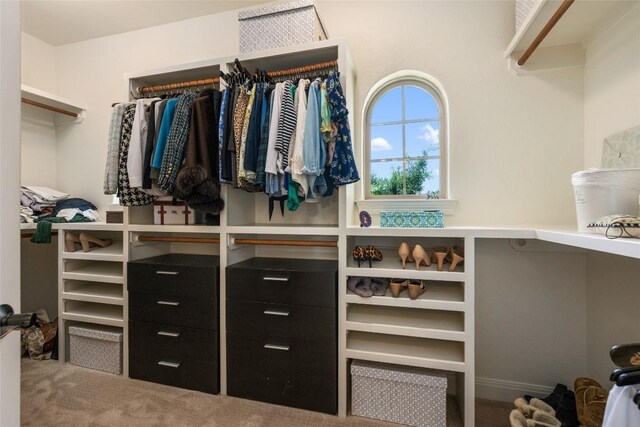 walk in closet featuring carpet floors