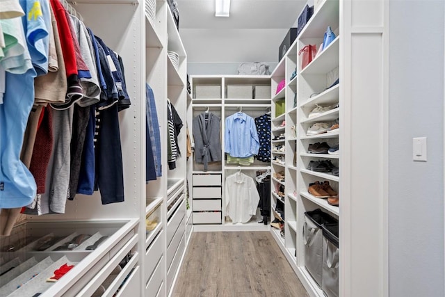 spacious closet featuring light wood-type flooring