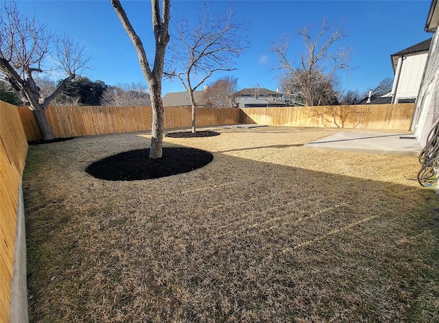 view of yard with a patio area and a fenced backyard