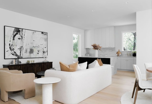 3614 Murillo Cir, Austin, TX 78703 - living room featuring light wood-style floors and recessed lighting