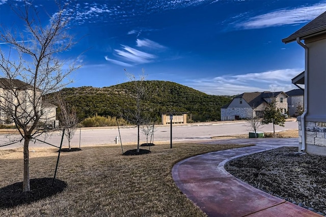 219 Baldovino Skwy, Lakeway, TX 78738 - view of yard
