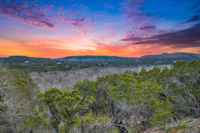 1920 River Rd, Wimberley, TX 78676 - photo 36