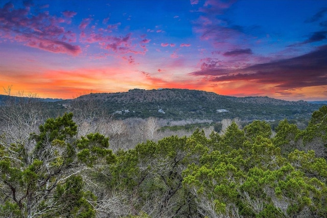 1920 River Rd, Wimberley, TX 78676 - view of mountain background