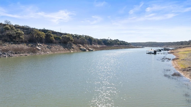 1201 Lake Shore Dr, Spicewood, TX 78669 - photo 2