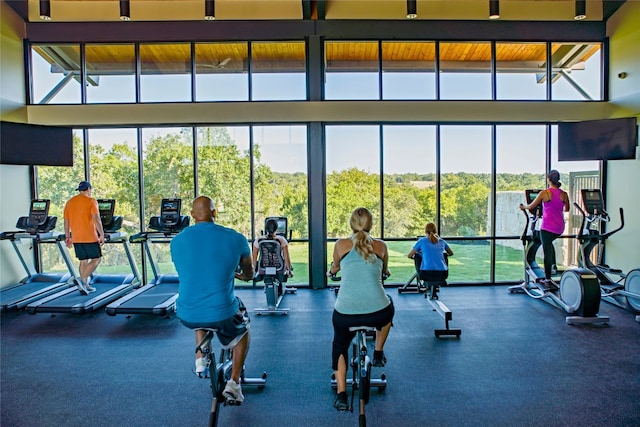 2705 Sage Ranch Dr Unit 6, Leander, TX 78641 - exercise room with expansive windows