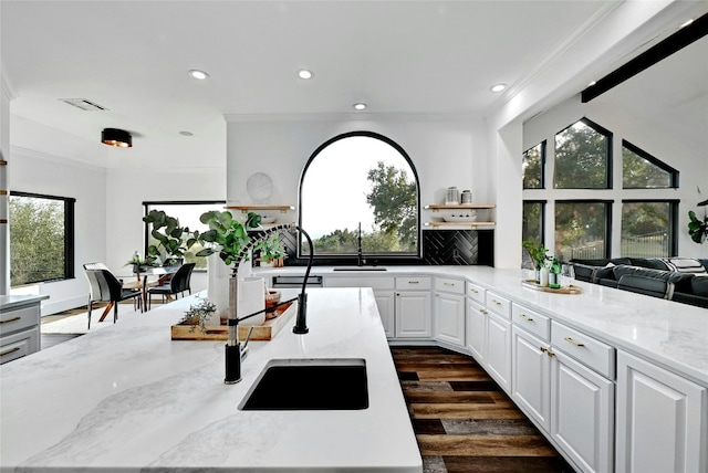 kitchen with visible vents, white cabinets, open floor plan, dark wood-style flooring, and light stone countertops