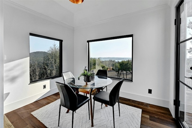 dining room with ornamental molding, dark wood-style flooring, a mountain view, and baseboards