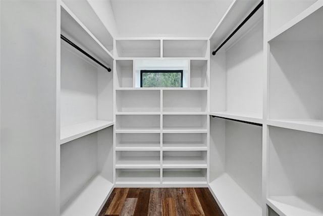 spacious closet with dark wood-type flooring