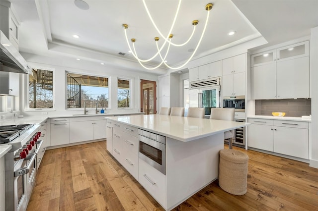 kitchen with a raised ceiling, light wood-style flooring, a kitchen island, a sink, and built in appliances