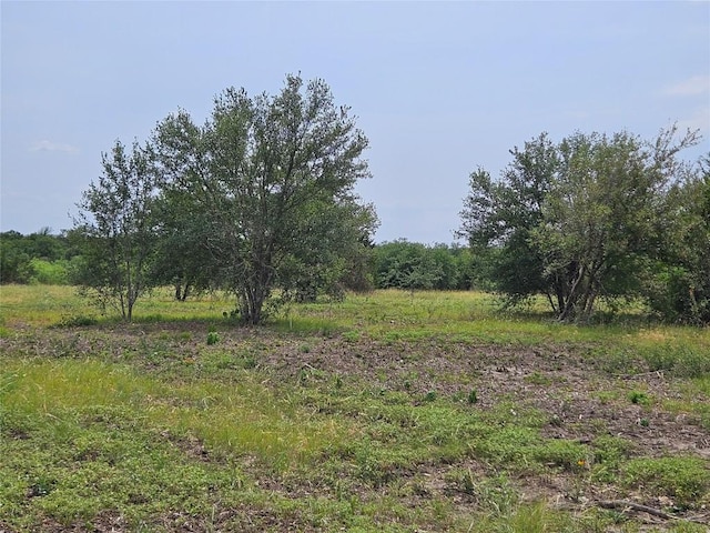610 Seminole Trl, Lytton Springs, TX 78616 - photo 6
