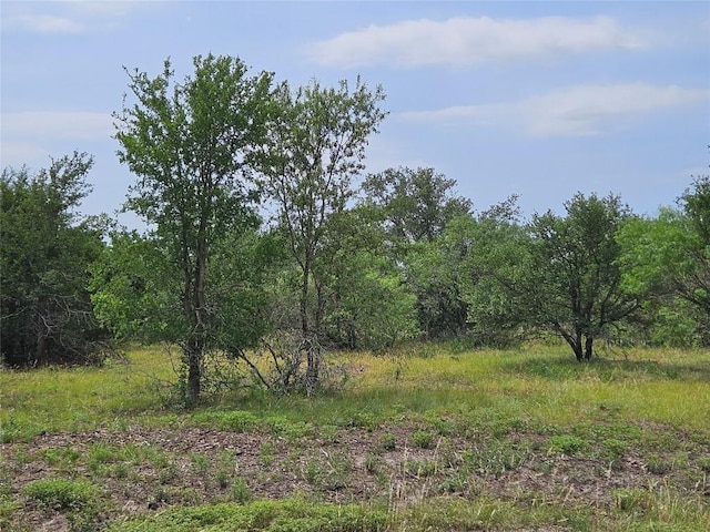 610 Seminole Trl, Lytton Springs, TX 78616 - photo 7