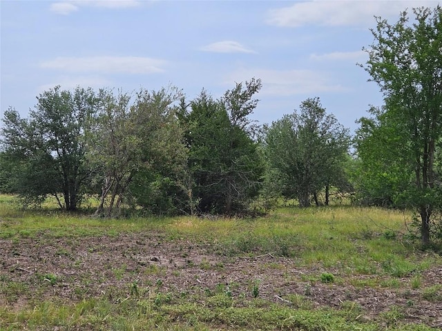 610 Seminole Trl, Lytton Springs, TX 78616 - photo 8