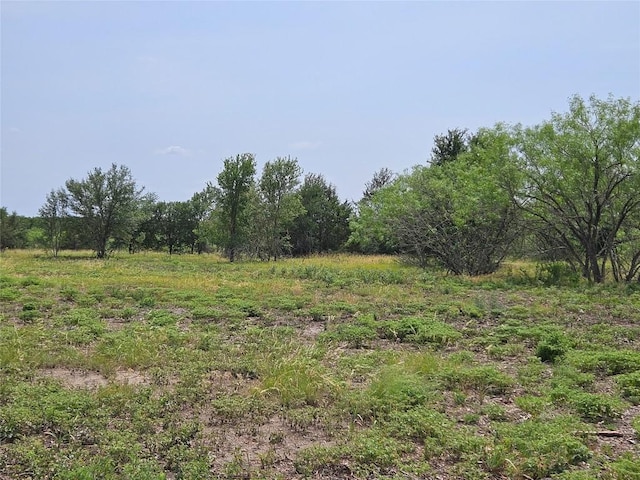 610 Seminole Trl, Lytton Springs, TX 78616 - photo 10