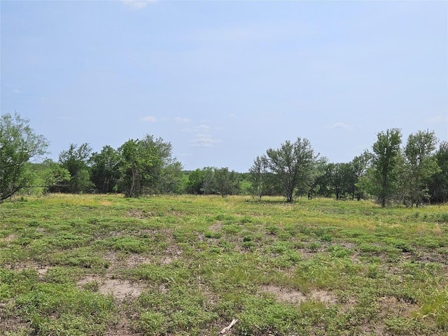 610 Seminole Trl, Lytton Springs, TX 78616 - photo 11