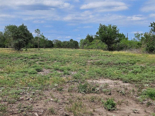 610 Seminole Trl, Lytton Springs, TX 78616 - photo 3
