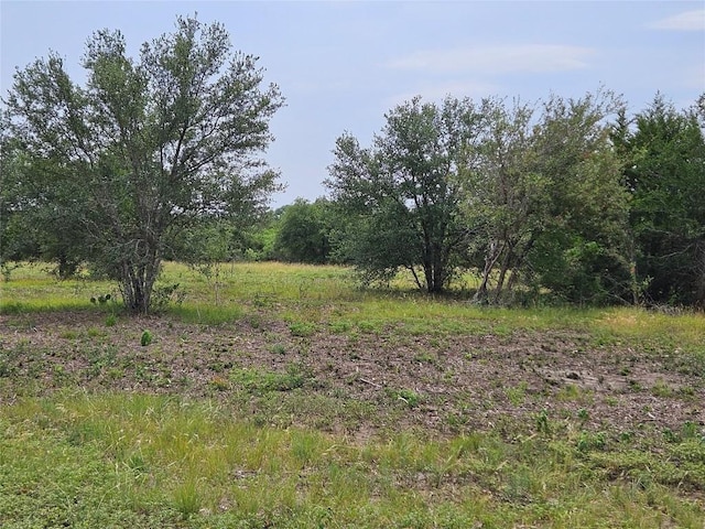 610 Seminole Trl, Lytton Springs, TX 78616 - photo 13