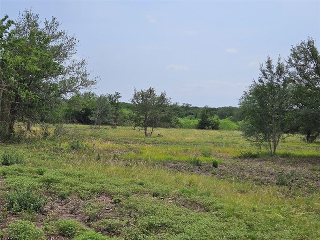 610 Seminole Trl, Lytton Springs, TX 78616 - photo 15