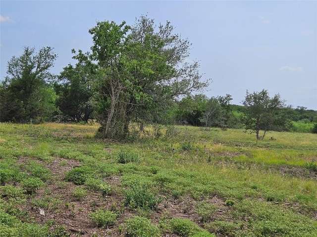 610 Seminole Trl, Lytton Springs, TX 78616 - photo 16
