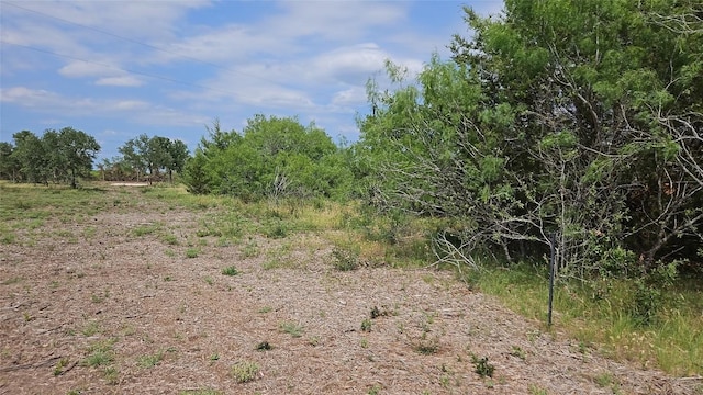 610 Seminole Trl, Lytton Springs, TX 78616 - photo 4