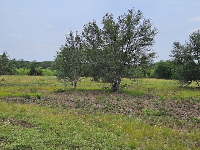 610 Seminole Trl, Lytton Springs, TX 78616 - photo 19