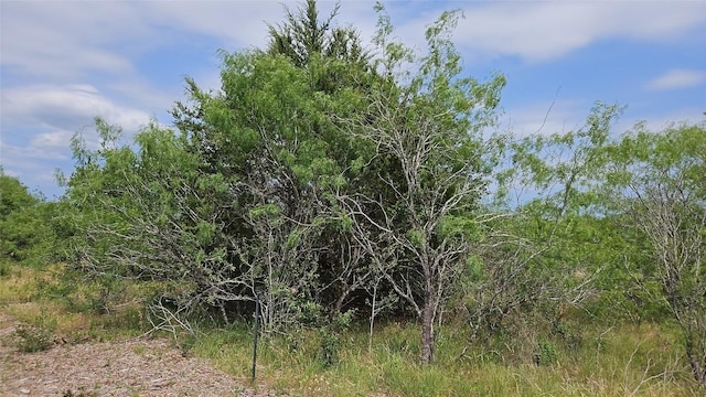 610 Seminole Trl, Lytton Springs, TX 78616 - photo 20