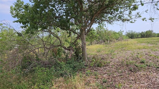 610 Seminole Trl, Lytton Springs, TX 78616 - photo 21