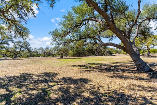 15400 Fm 1826, Austin, TX 78737 - view of yard