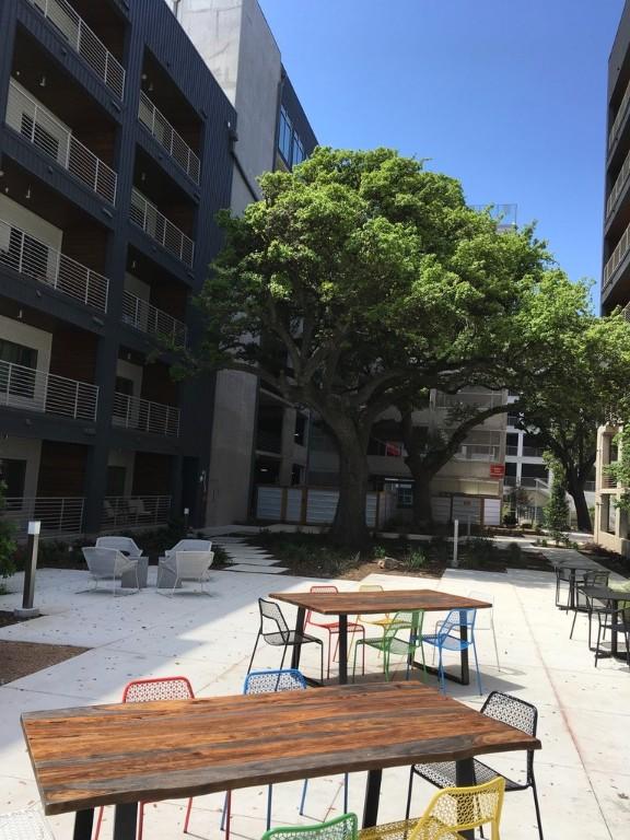 4361 S Congress Ave Unit 304, Austin, TX 78745 - view of community
