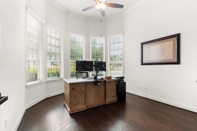 office space featuring dark wood-style floors, plenty of natural light, and crown molding