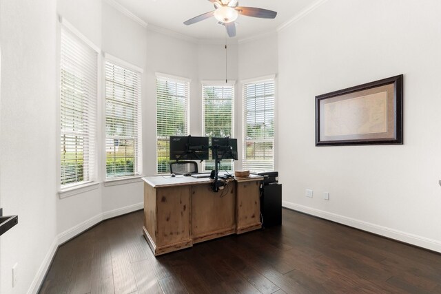 3804 Venezia Vw, Leander, TX 78641 - office space featuring a ceiling fan, ornamental molding, dark wood finished floors, and plenty of natural light