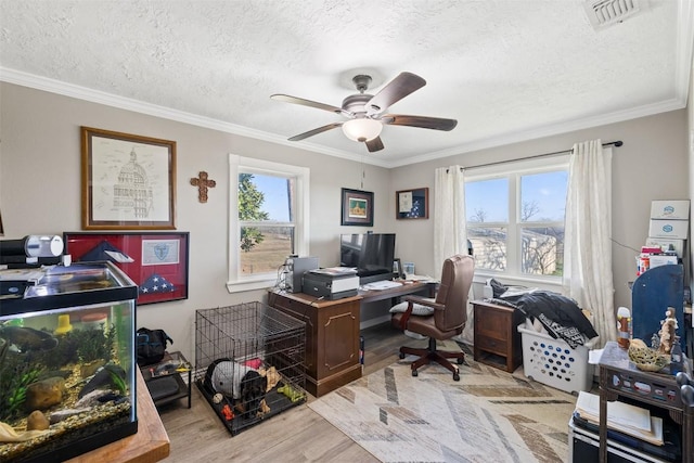 office featuring light wood-type flooring, visible vents, crown molding, and a textured ceiling