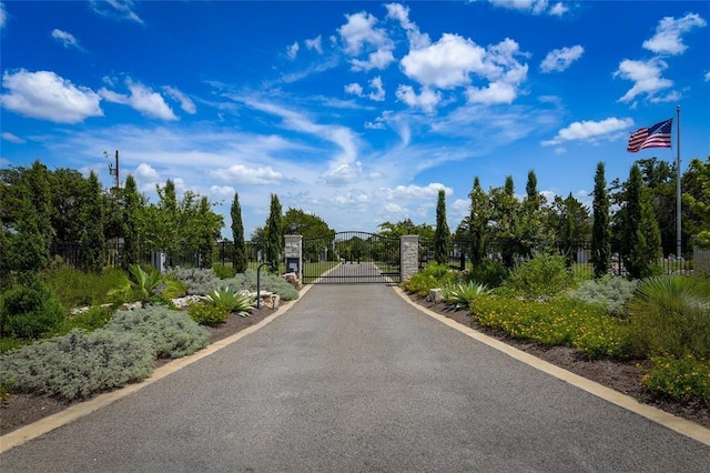 view of street with a gated entry and a gate