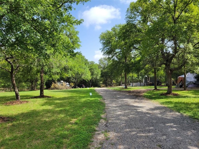 21004 Coleman Branch Creek Rd, Elgin TX, 78621 land for sale