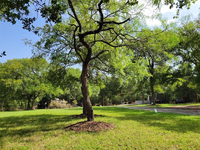 Listing photo 3 for 21004 Coleman Branch Creek Rd, Elgin TX 78621