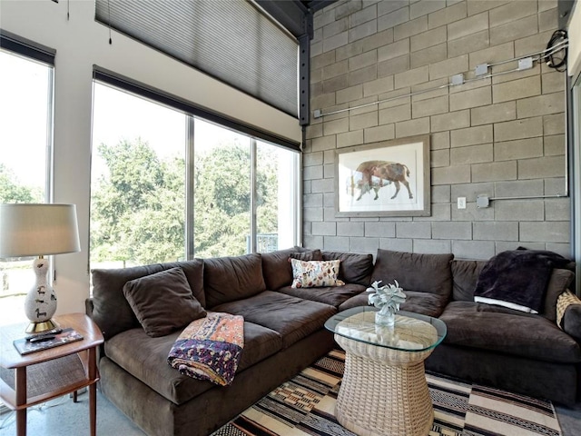 4801 S Congress Ave Unit L4, Austin, TX 78745 - living area with a towering ceiling