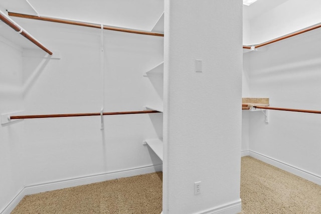 walk in closet with carpet floors