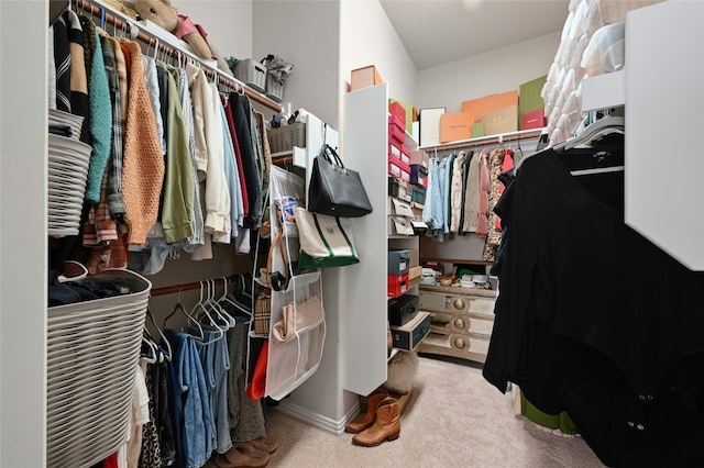walk in closet with carpet floors