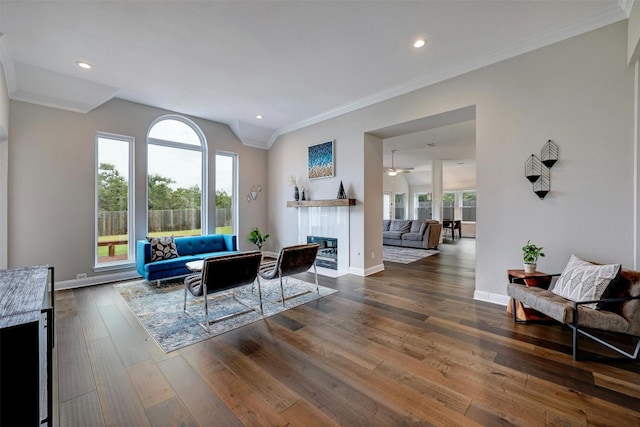 living area featuring a healthy amount of sunlight, dark wood-style floors, a fireplace, and baseboards