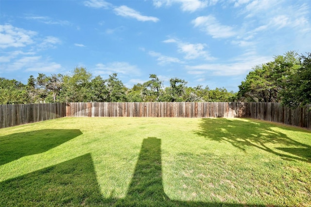 view of yard featuring a fenced backyard