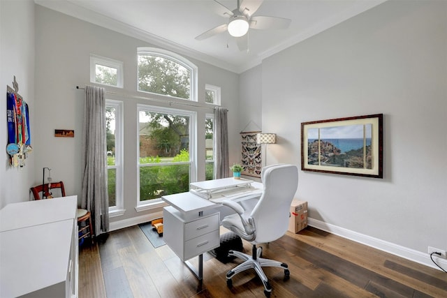 office area featuring crown molding, baseboards, ceiling fan, and dark wood-type flooring