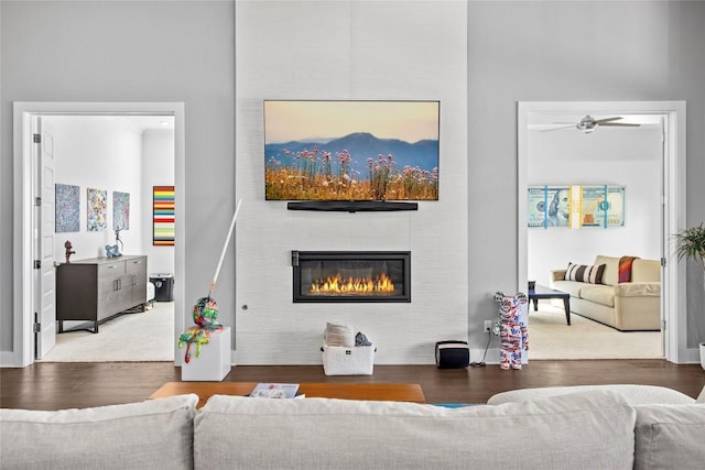 living area featuring a fireplace and wood finished floors