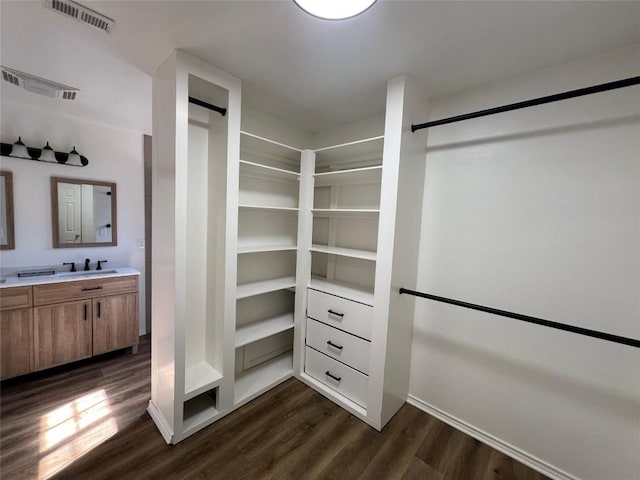 walk in closet featuring dark wood-type flooring, a sink, and visible vents