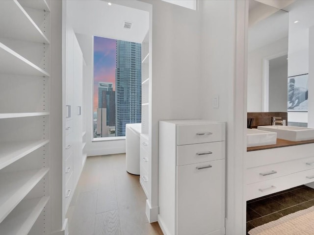 walk in closet featuring visible vents, a sink, and wood finished floors