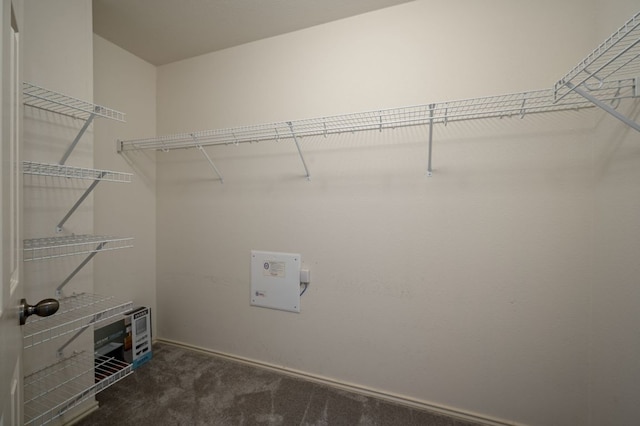 walk in closet featuring carpet flooring