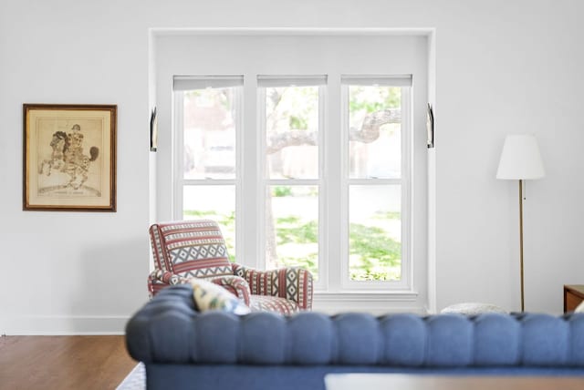 living room with a healthy amount of sunlight, baseboards, and wood finished floors