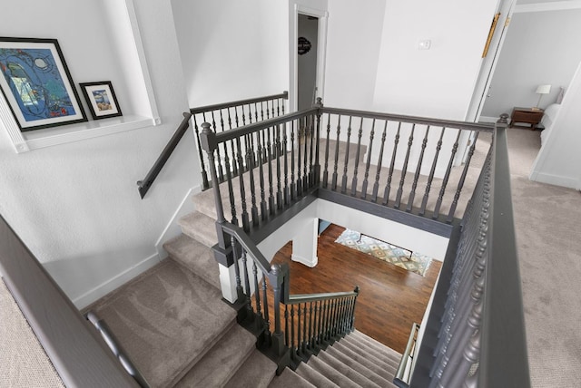 stairs featuring carpet and baseboards