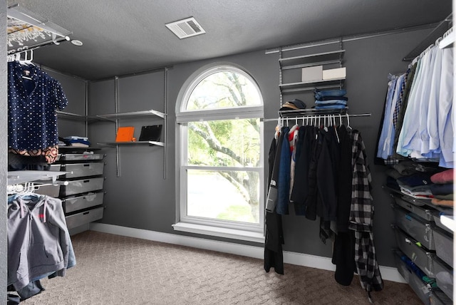 walk in closet featuring carpet and visible vents