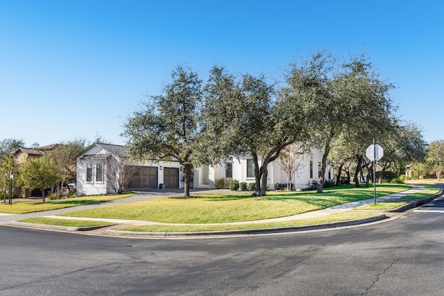 obstructed view of property with driveway and a front lawn