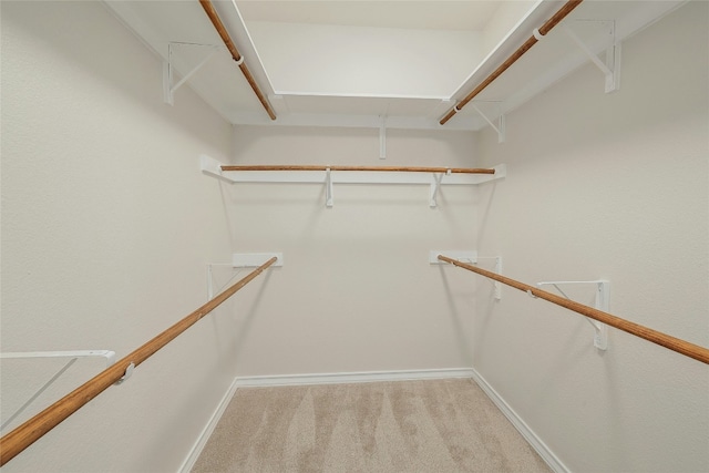 20800 Ridgeview Rd, Lago Vista, TX 78645 - spacious closet with light colored carpet