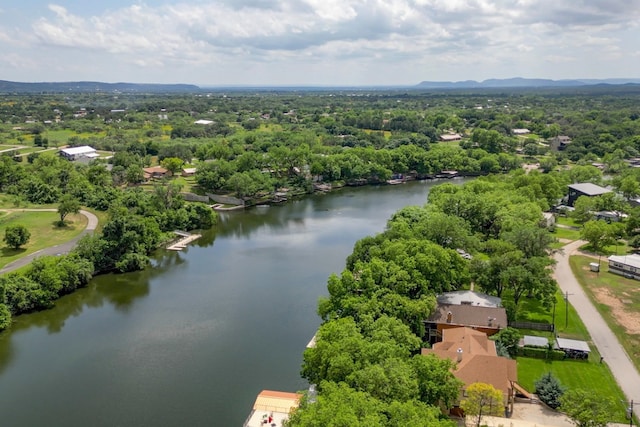 drone / aerial view with a water view and a view of trees